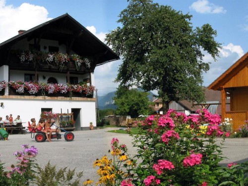 Bauernhof - 7 Personen -  - Pichl - 4575 - Roßleithen