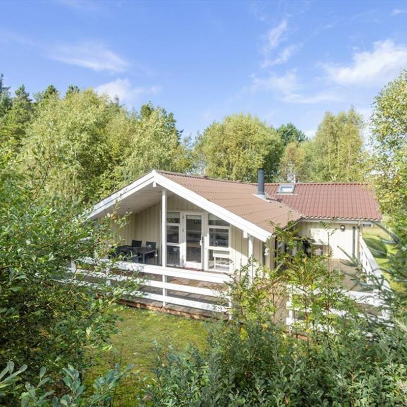 Ferienhaus - 6 Personen -  - Musvågevej - Lodskovvad - 9982 - Aalbæk