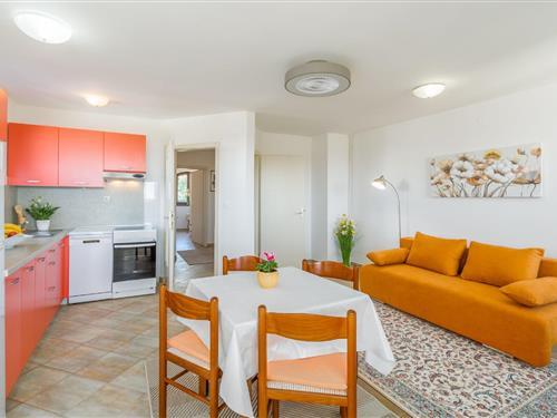 Holiday Home/Apartment - 2 persons -  - Gregovo lll/2 Mali Maj - 52440 - Porec