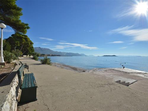 Holiday apartment - 3 persons -  - 20250 - Orebic