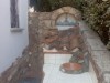 Image 3 - Outside