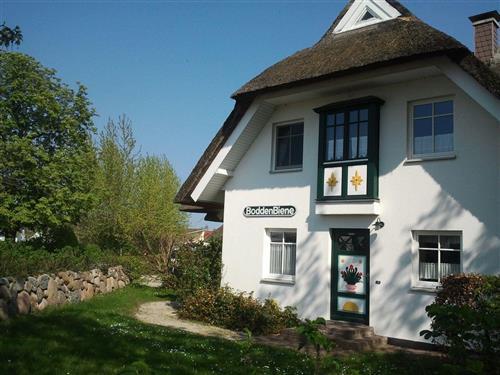 Sommerhus - 4 personer -  - Bauernreihe - 18375 - Wieck A. Darß