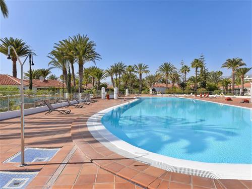 Feriehus / leilighet - 2 personer -  - Playa Del Inglés - 35100