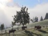 Billede 3