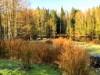 Billede 13 - Ude
