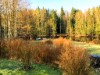 Bilde 13 - Ude