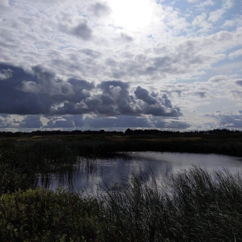 Sommerhus - 8 personer -  - Lodbergsvej - Søndervig - 6950 - Ringkøbing