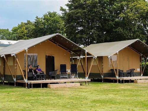 Tent lodge - 6 persons -  - 6988BM - Lathum