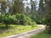 Bild 17