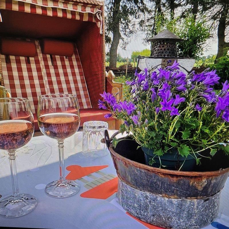 Ferielejlighed - 4 personer -  - Neu-Lüdershäger Weg - 18442 - Wendorf / Neu Lüdershagen