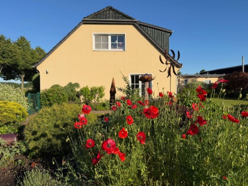 Ferienwohnung - 4 Personen -  - Neu-Lüdershäger Weg - 18442 - Wendorf / Neu Lüdershagen Bei Stralsund