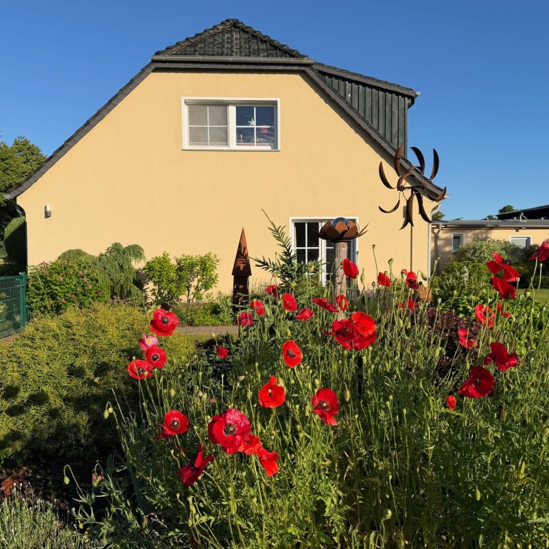 Ferielejlighed - 4 personer -  - Neu-Lüdershäger Weg - 18442 - Wendorf / Neu Lüdershagen Bei Stralsund