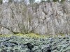 Billede 10