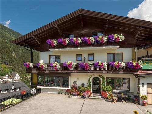  - 3 personer -  - Pyrkerhöhenstraße - 5640 - Bad Gastein