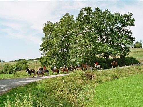 Ferielejlighed - 4 personer -  - Vogelbusch - 35104 - Lichtenfels - Neukirchen