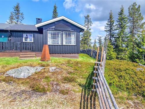 Sommerhus - 6 personer -  - Gamle Fjellvegen - Hamar/Vang På Hedmarken - 2324 - Vang På Hedmarken