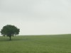 Billede 17
