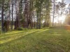 Bilde 3 - Ude