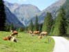 Bild 21 - Ude