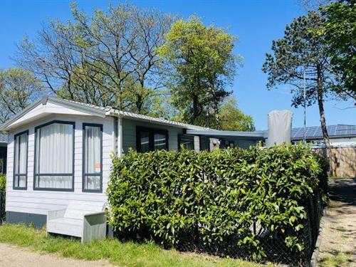 Feriehus - 4 personer -  - 2555 NW - The Hague