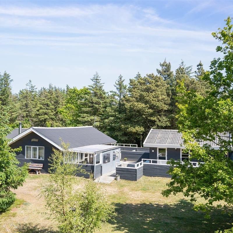 Ferienhaus - 6 Personen -  - Saltum Strandvej - 9493 - Saltum