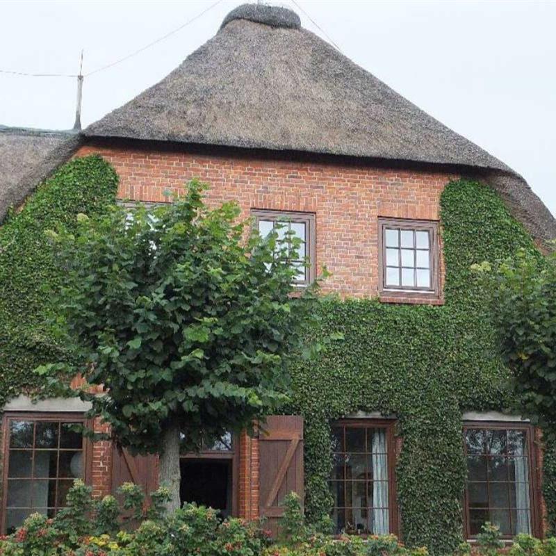 Ferielejlighed - 3 personer -  - Traumstraße - 25938 - Goting