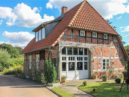 Holiday home - 7 persons -  - Rosenanger - 19217 - Thandorf