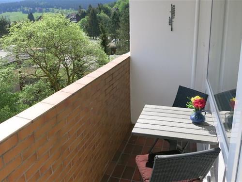 Semesterhus/Semesterlägenhet - 2 personer -  - Auf dem Glockenberg - 38707 - Altenau