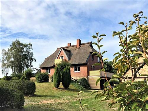 Sommerhus - 6 personer -  - Am Kaliesberg - 17375 - Vogelsang-Warsin