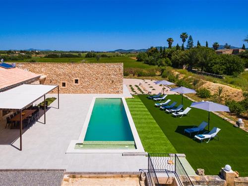 Holiday home - 8 persons -  - Poligono Poligon - Can Gusti, Felanitx - 07509 - Felanitx