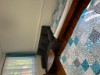 Bild 20