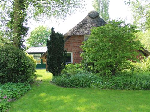 Ferieleilighet - 2 personer -  - Am Deich - 26969 - Butjadingen / Burhave