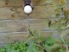 Bild 22