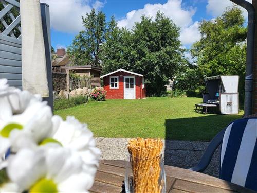 Ferienhaus - 4 Personen -  - Westereck 11 c - 25826 - St. Peter-Ording