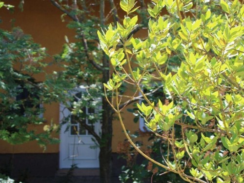 Ferienhaus - 2 Personen -  - 55270 - Engelstadt