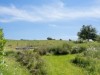 Billede 28 - Grund