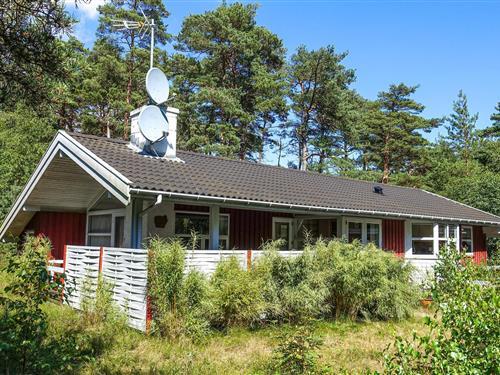 Sommerhus - 8 personer -  - Strandmølleskoven - Dueodde - 3730 - Nexø