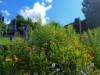 Bild 16 - Aussen