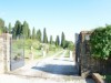 Bilde 13
