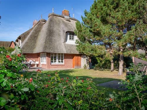 Ferielejlighed - 4 personer -  - Hauptstraße - 25999 - Kampen