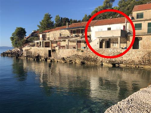 Sommerhus - 5 personer -  - Uvala Srhov Dolac b.b. - 21467 - Gdinj-Virak