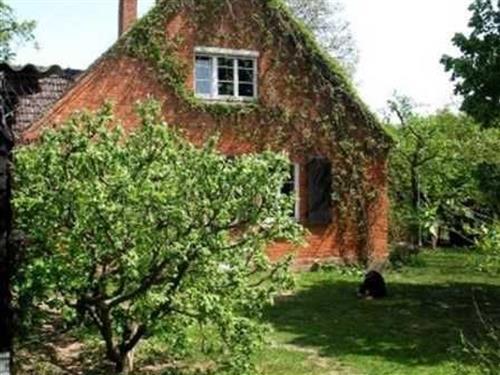 Ferielejlighed - 5 personer -  - Prälank Siedlung - 17235 - Neustrelitz