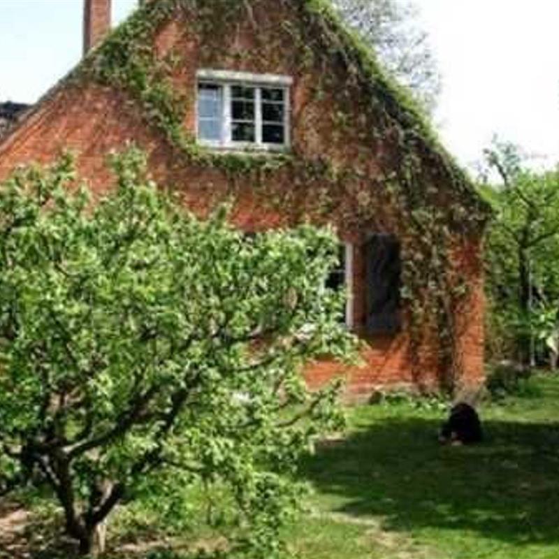 Ferielejlighed - 5 personer -  - Prälank Siedlung - 17235 - Neustrelitz