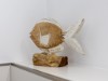 Bild 29