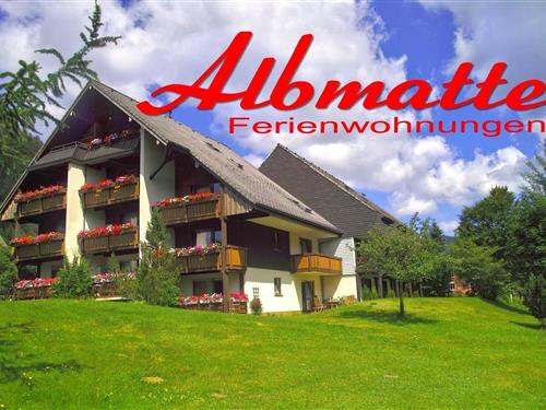 Holiday Home/Apartment - 2 persons -  - Winterhalterweg - 79837 - Sankt Blasien-Menzenschwa