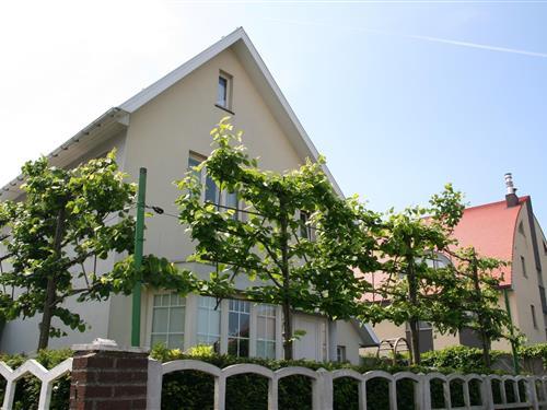 Sommerhus - 12 personer -  - 8430 - Middelkerke