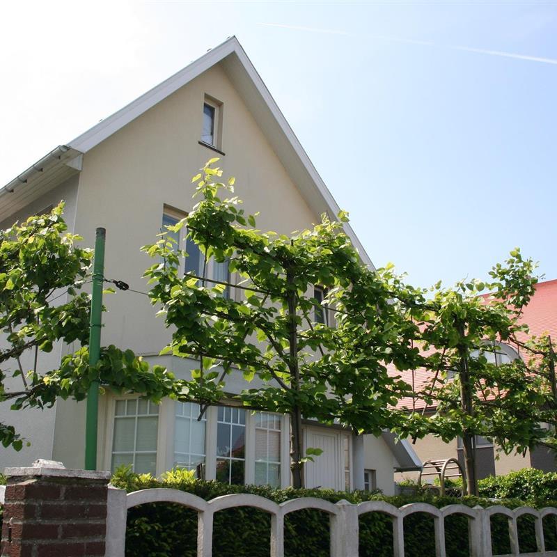 Villa - 12 personer -  - 8430 - Middelkerke