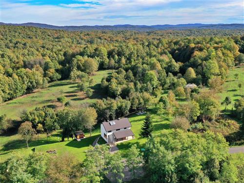 Sommerhus - 11 personer -  - Knezevi Vinogradi - 31309