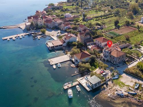 Holiday apartment - 4 persons -  - Broce - Peljesac-Ston - 20230 - Ston