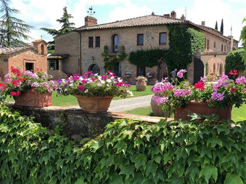 Ferieleilighet - 2 personer -  - Chiusi - 53043